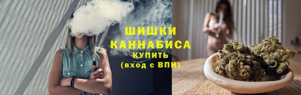 тгк Инта