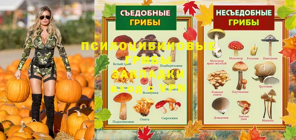 амф Каменногорск