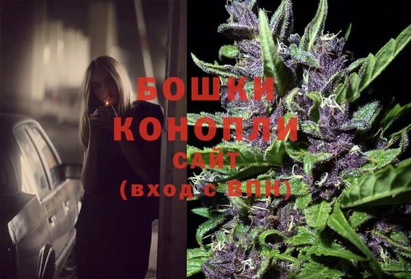 ALPHA PVP Иннополис