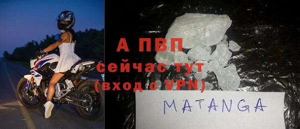 прущие грибы Козельск